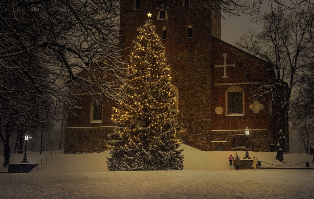 christmas tree, holiday, season-6895765.jpg