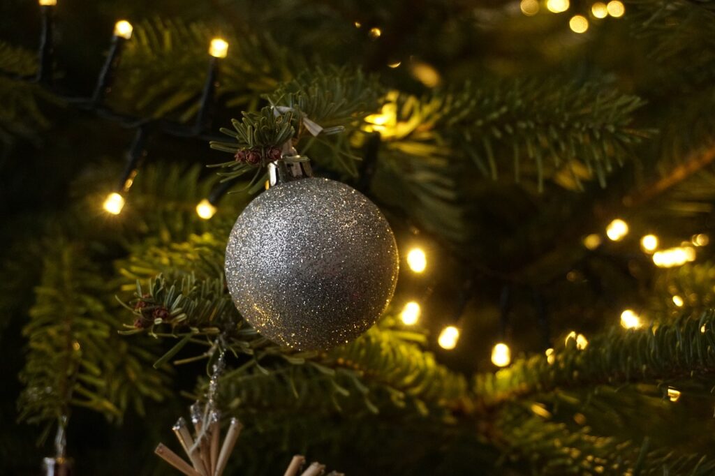 christmas, christmas tree, christmas ornament-3897788.jpg